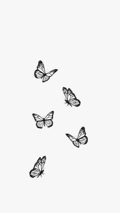 four butterflies flying in the air with one on top of it's back legs