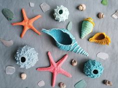 various sea shells and starfish on a table