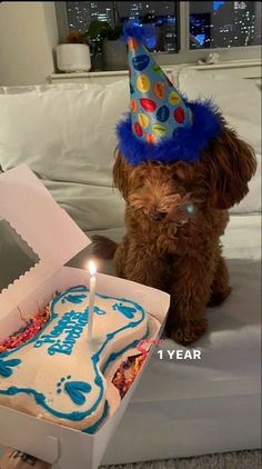 a dog sitting next to a birthday cake