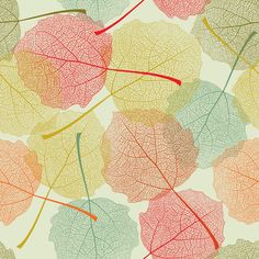 an image of leaves that are very colorful and have red stems in them on a light green background