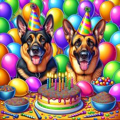 two german shepherd dogs sitting in front of a birthday cake with lit candles and balloons