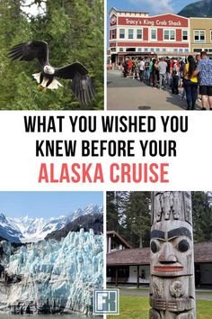 the alaska cruise with text overlay that reads what you wished you knew before your alaska cruise