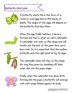 butterfly life cycle worksheet for kids to learn how to tell the story about butterflies