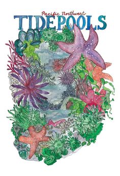 the cover of pacific northwest tide pools, featuring starfish and sea stars in various colors