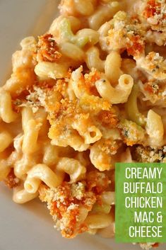 creamy buffalo chicken mac and cheese on a plate