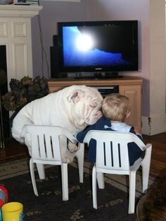 an image of a dog that is kissing a child's head in front of a tv