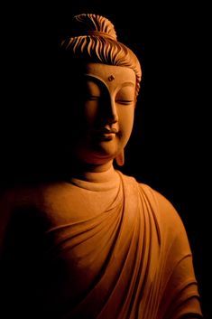 a buddha statue is lit up in the dark