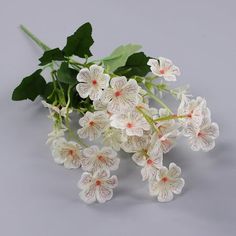 white flowers with green leaves on a gray background