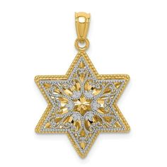 14k Two-tone Polished Reversible Filigree Star of David Pendant, Jewelry, Pendants & Charms, Themed Charms, Religious, Judaica, Material: Primary - Purity:14K|Feature:Solid|Manufacturing Process:Casted|Material: Primary:Gold|Product Type:Jewelry|Jewelry Type:Pendants & Charms|Sold By Unit:Each|Material: Primary - Color:Two-Tone Gender: unisex.  Age Group: adult. Jewish Jewelry, Star Of David Pendant, Filigree Pendant, Average Weight, Filigree Design, Gold Polish, Star Of David, Fine Jewelry Gift, Fine Jewellery Necklace