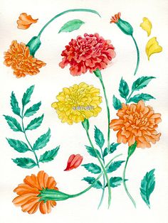 watercolor painting of flowers and leaves on white paper with orange, red, yellow and green colors