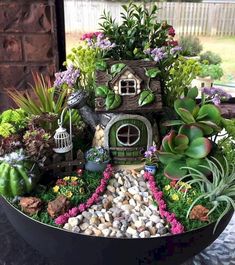 a bowl filled with lots of plants and rocks