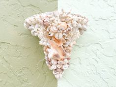 there is a sea shell sculpture on the wall