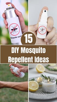 the top ten diy mosquito repellent ideas