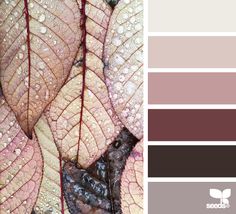 the color palette is brown, pink and green with some white leaves on it's sides