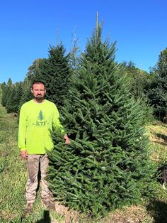 a man standing next to a tall green christmas tree in a field on a sunny day