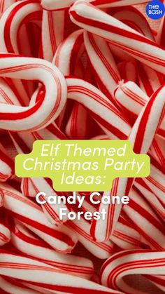 candy canes with the words elf themed christmas party ideas candy cane forest on top