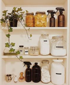 the shelves are filled with various jars and containers, including one containing liquid or other items