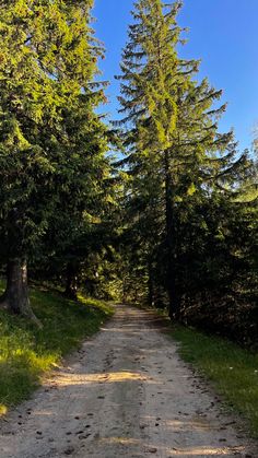 walking running nature forest peace quiet sibiu mountain view aesthetic German Forest Aesthetic, Forest Walking Aesthetic, Romania Sibiu