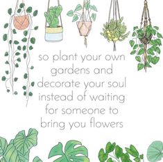 some plants that are hanging from the side of a white wall with a quote on it