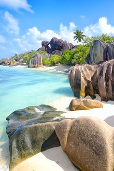 the beach is lined with large rocks and clear blue water, while palm trees stand in the background