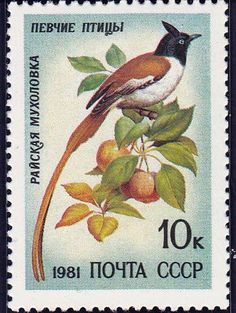 a stamp with an image of a bird sitting on top of apples and leaves, in russian language