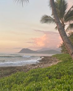 palm trees line the beach as the sun sets over the ocean and mountains in the distance