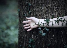 a person's arm wrapped around a tree with ivy growing on the branches and leaves