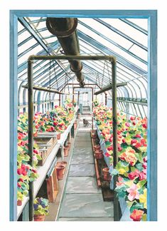 the inside of a greenhouse filled with lots of flowers