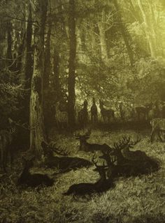 an old photo of deer in the woods