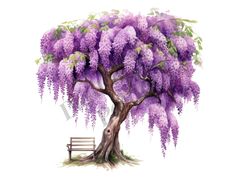 a tree with purple flowers and a bench under it