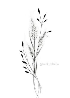 a black and white drawing of some plants