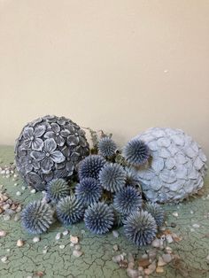 three different types of flowers sitting on a green table cloth next to shells and pebbles