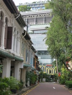 an empty street lined with tall buildings and lots of greenery in front of them