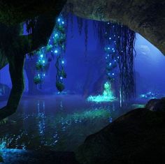 an underwater scene with blue lights in the water and plants growing out of the rocks