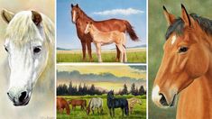 three pictures of horses in different colors and sizes, with one horse looking at the camera