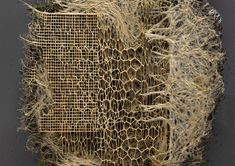 a piece of woven material with roots attached to it