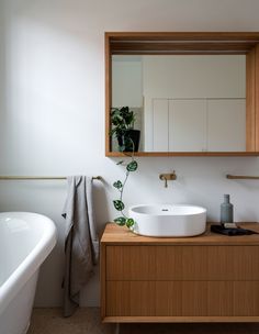 a bathroom with a sink, mirror and bathtub next to a plant on the counter