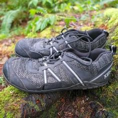 a pair of hiking shoes sitting on top of a moss covered tree stump in the woods