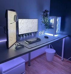 a desk with two computer monitors and a keyboard on it, in front of a plant