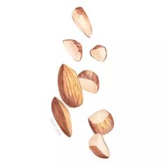 watercolor drawing of almonds falling down on the ground with their tops turned upside down