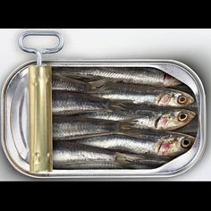 an open can of sardines on a white surface with a metal clipping