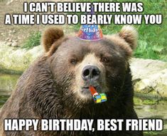 a brown bear wearing a birthday hat with the caption i can't believe there was a time used to be really know you happy birthday, best friend