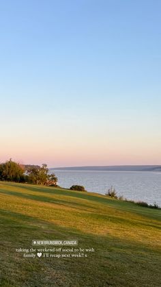 a man flying a kite in the middle of a grassy field next to a body of water