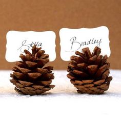 three pine cones are sitting next to each other with place cards in the shape of them