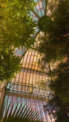 the inside of a building with trees and plants on it's sides, looking up at the ceiling