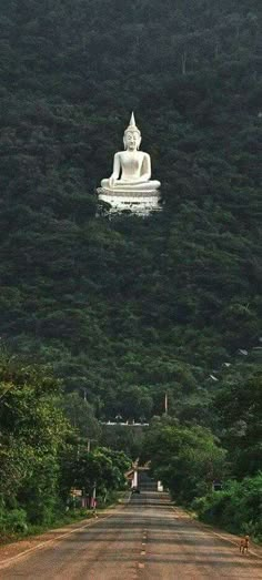 a large white buddha statue sitting on the side of a lush green hillside next to a road