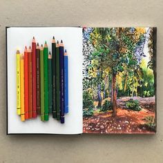 an open book with colored pencils on the pages and a drawing of a tree