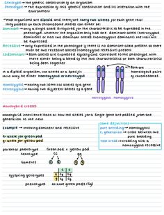 a paper with some writing on it that has different types of words and numbers in it