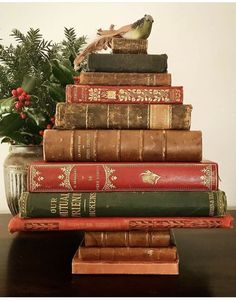 a stack of books sitting on top of a table next to a potted plant