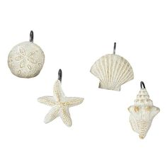 three seashells and starfish ornaments hanging from hooks